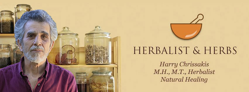 Herbalist and Herbs